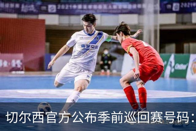 切尔西官方公布季前巡回赛号码：帕尔默10号，帕莱斯特拉2号