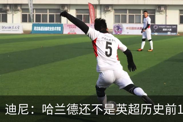 迪尼：哈兰德还不是英超历史前10前锋，新赛季看他对抗加布很有趣