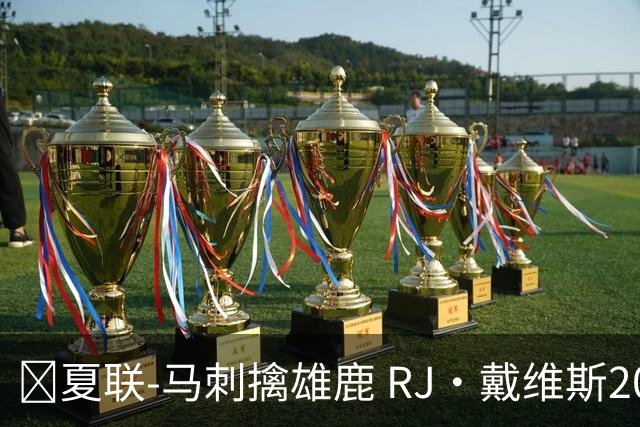 🏀夏联-马刺擒雄鹿 RJ·戴维斯20分 李贤重12分3板 伯里斯26分